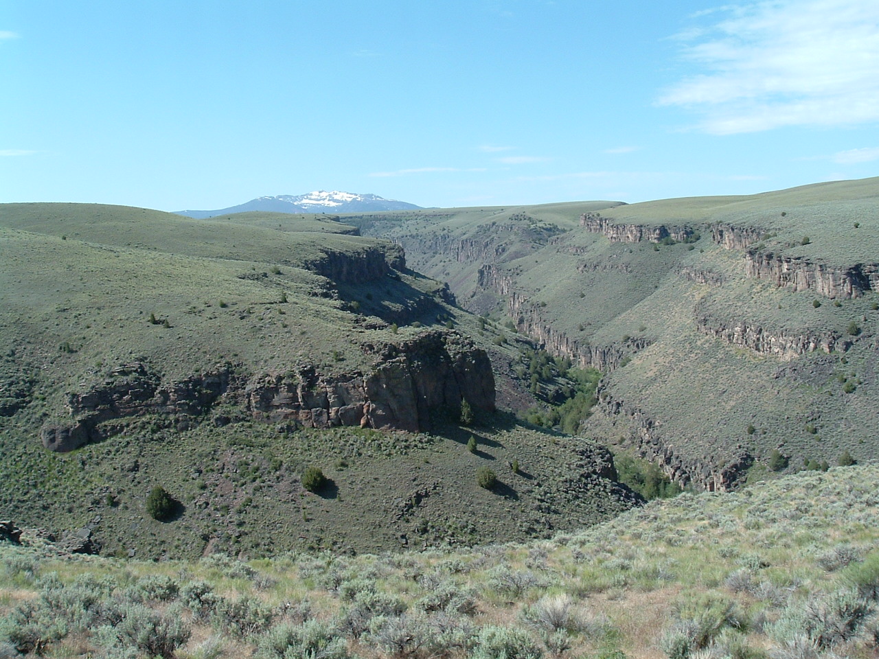 Figure 2. East Fork of the Jarbidge River (Philip A. Homan). The 10,789-feet Jarbidge Peak (at back) of the Jarbidge Mountains and the deep canyons of the Jarbidge River and its East Fork (at front) made for an ideal corral for the Wilkins Horse Company’s herd of 10,000 horses running on the Wilkins Island range (at right), which helped make the company and its boss, Kittie Wilkins, famous.
