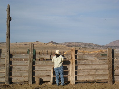 A ranch in Arizona