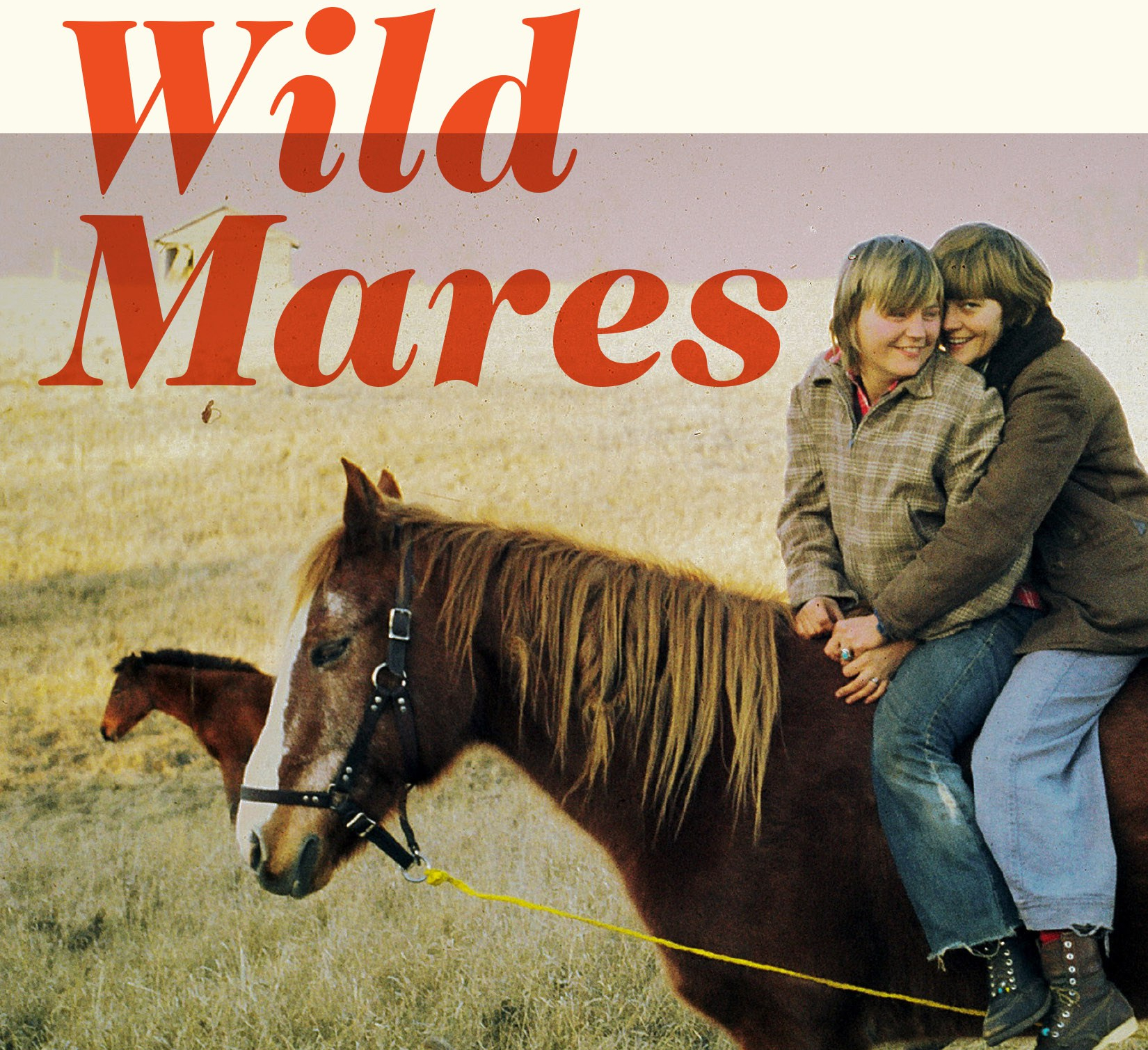 Wild mares Cover