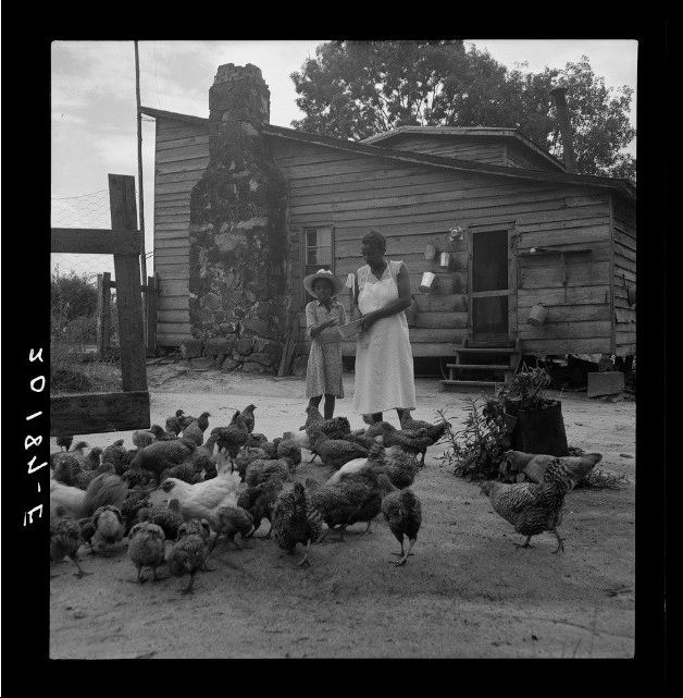 tenant farm wife &amp; daughter feed chickens